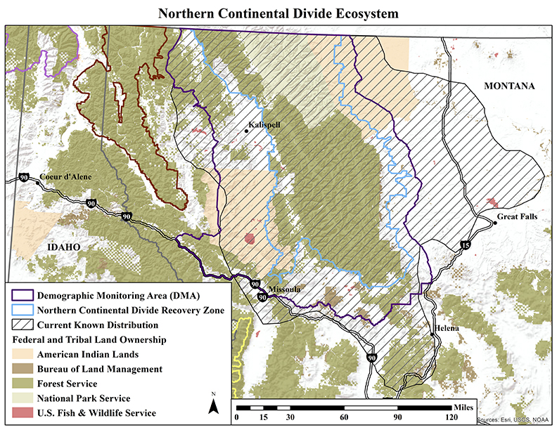 Northern Continental Divide Subcommittee - IGBC
