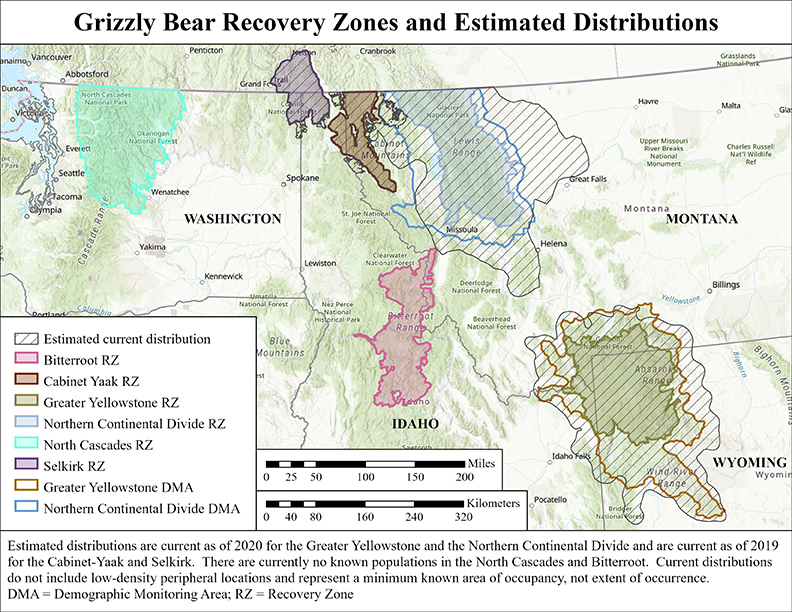 Grizzly Bear Recovery Zones