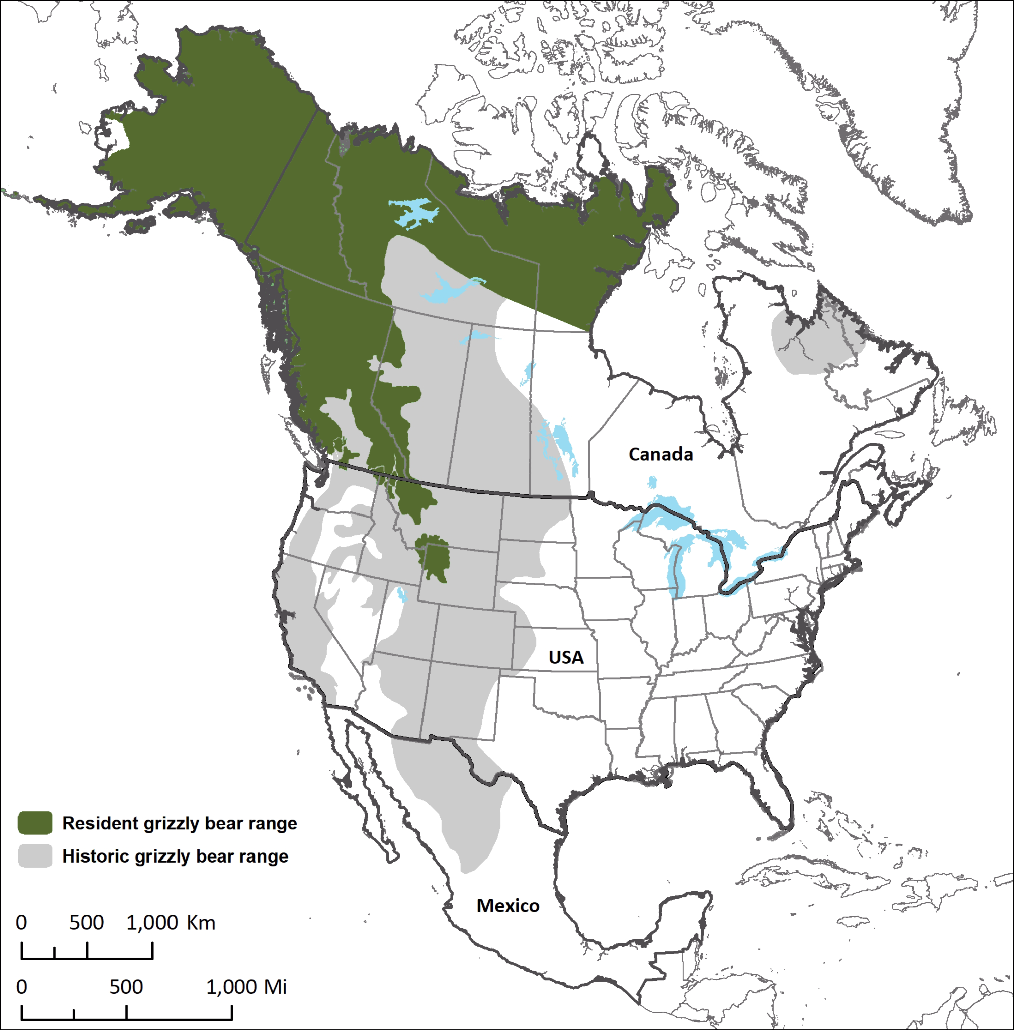 IUCN_Ursus_NAmerica_Revised2019_color-1-2016x2048.png