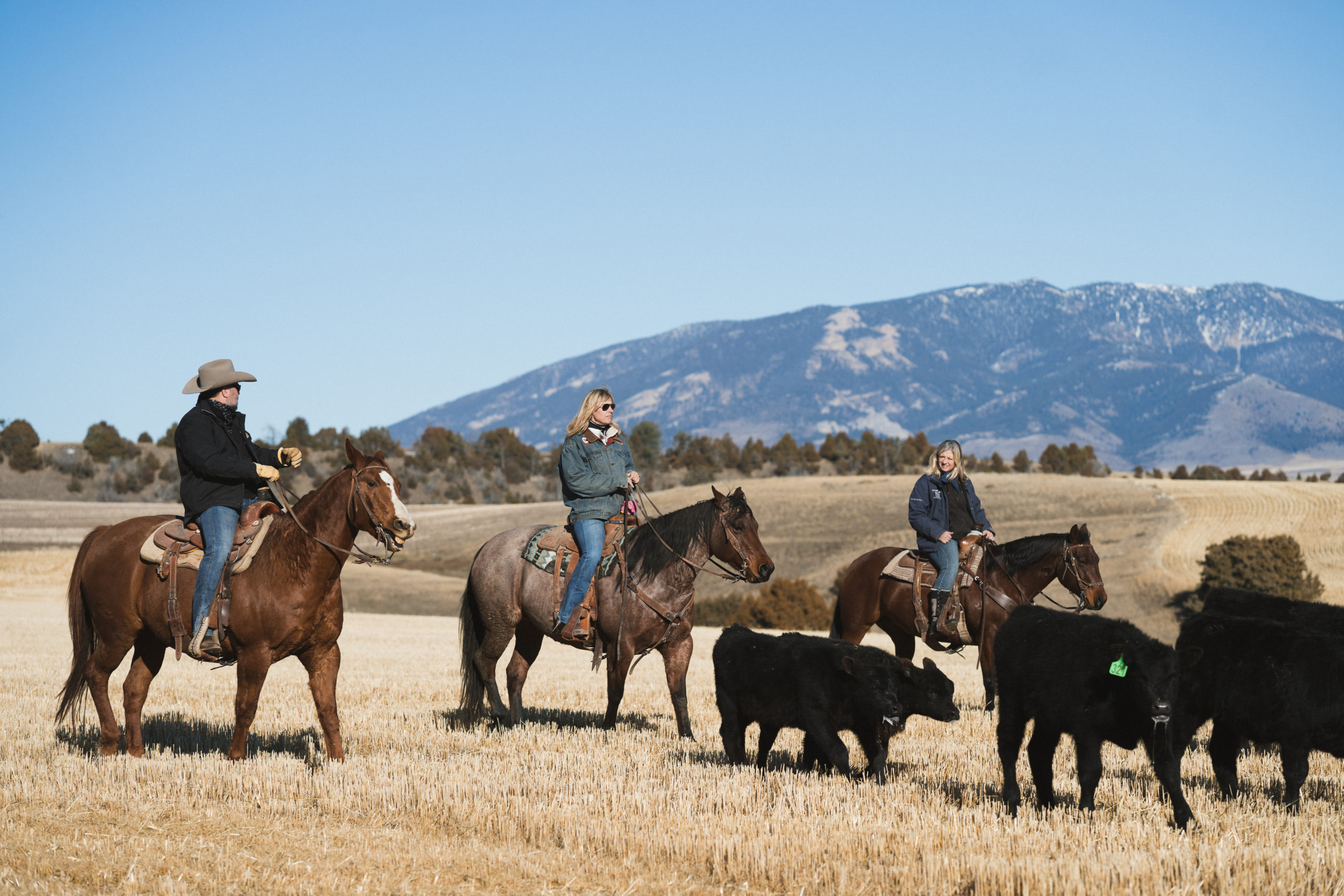 Farming and Ranching in Bear Country