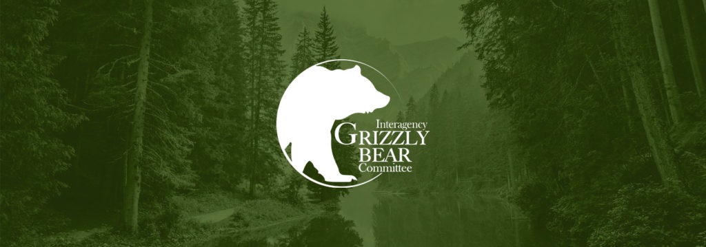 Igbc Spring 2023 Newsletter Interagency Grizzly Bear Committee 5130