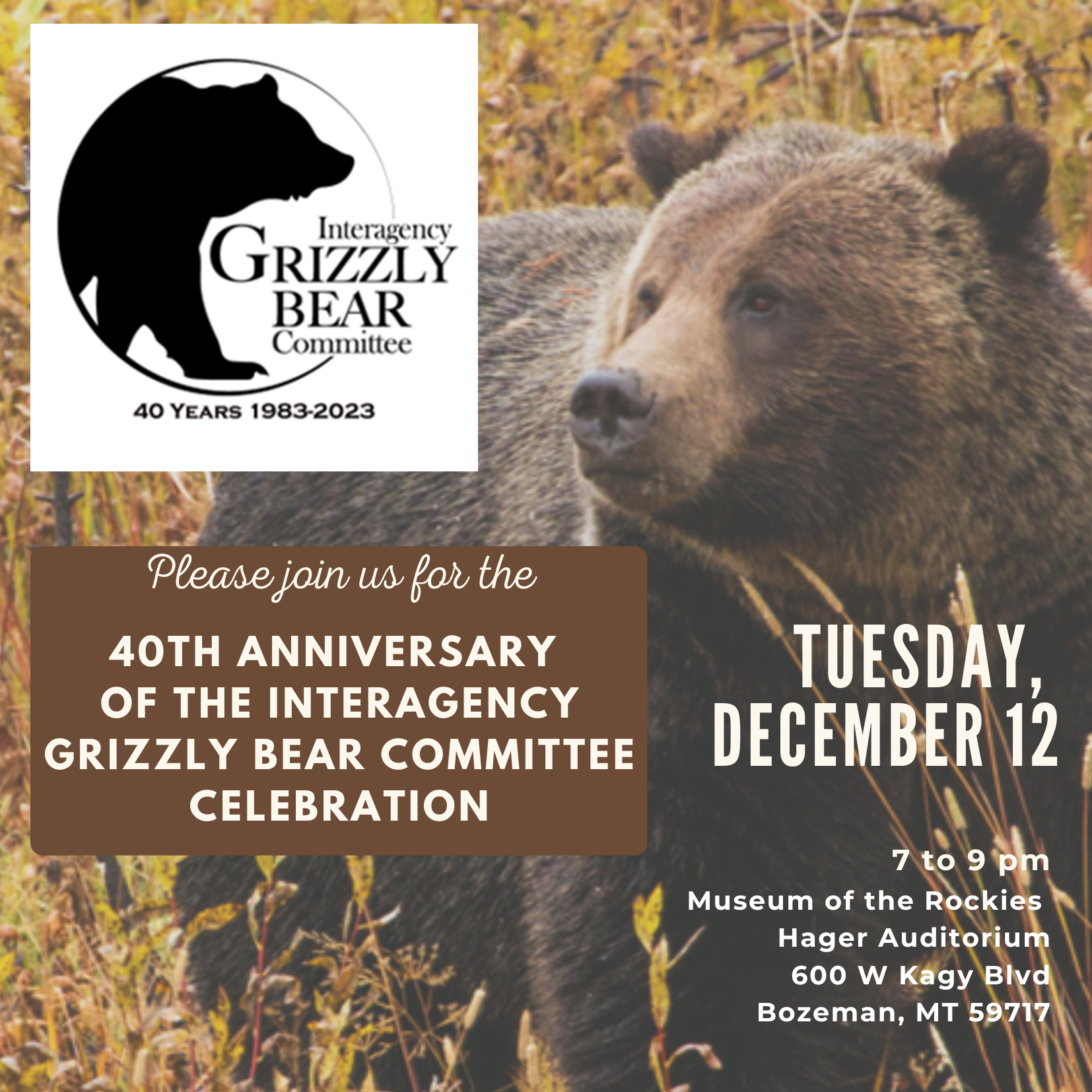 Our Story - Grizzly bear conservation and protection